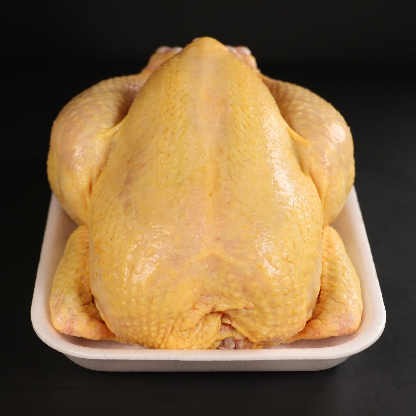 Gallina
